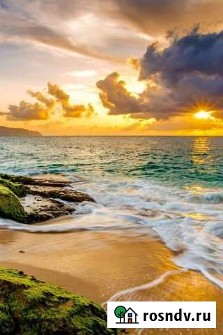 Котята в добрые руки мальчики Саратов - изображение 1