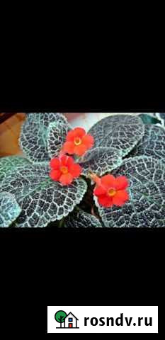 Эписция Переславль-Залесский - изображение 1