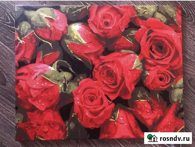 Картины по номерам 40 50 Смоленск - изображение 1