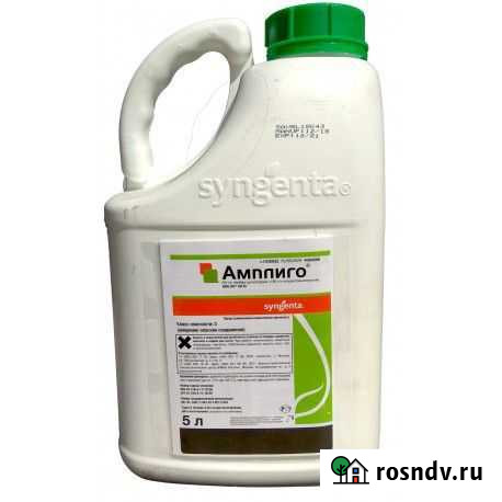 Амплиго, Самум, Ланнат, Кораген,Евро- Лайтинг Волжский - изображение 1