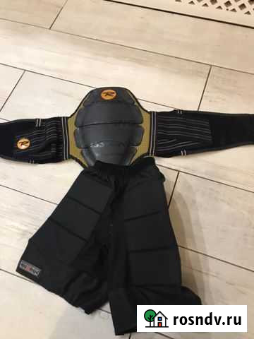 Защита спины Лиски - изображение 1