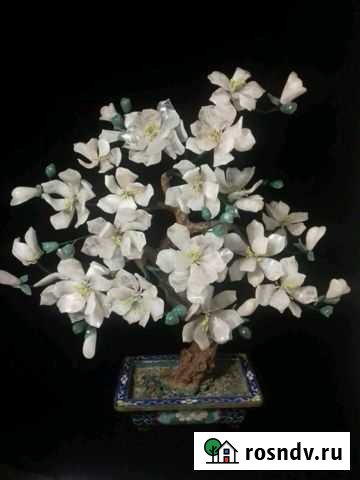 Предметы интерьера. Дерево Магнолия из нат.роз. кв Пятигорск - изображение 1