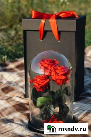 Роза в колбе Тамбов - изображение 1