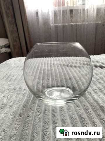 Аквариум Одинцово - изображение 1