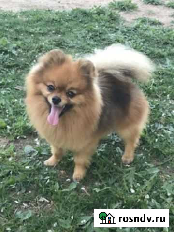 Вязка Великие Луки - изображение 1