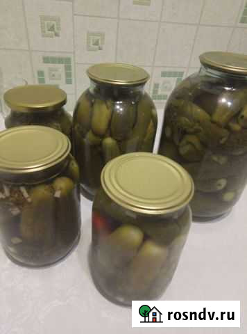 Огурцы марин, капуста кваш, корень хрена, грибы ма Славгород - изображение 1