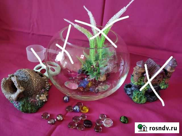 Декор для аквариума Клинцы - изображение 1