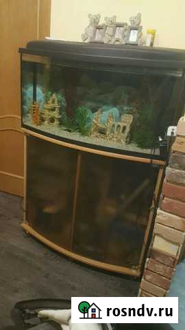 Аквариум Тверь - изображение 1