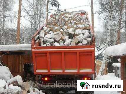 Продам дрова Можга - изображение 1
