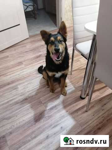 Дворовая Сысерть - изображение 1