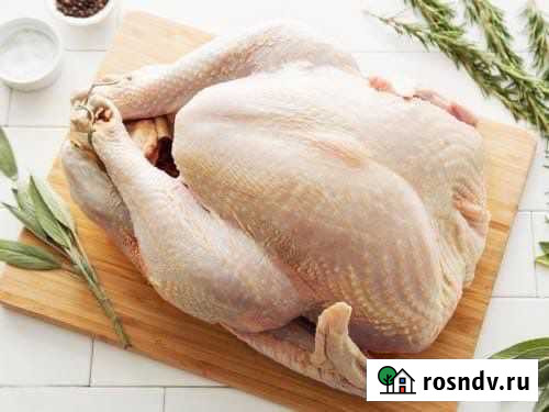 Куры бройлеры Ульяновка - изображение 1