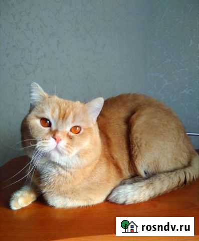 Вязка Новокузнецк - изображение 1