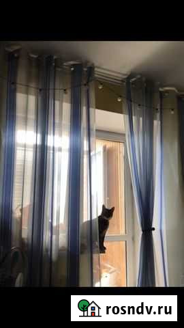 Шторы Тюмень - изображение 1