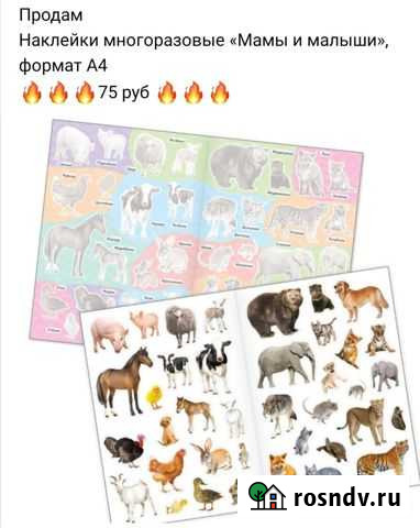 Многоразовые наклейки Соликамск - изображение 1