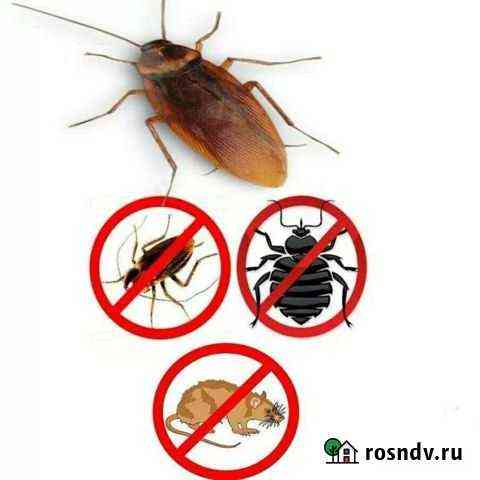 Уничтожение клопов и тараканов Рязань