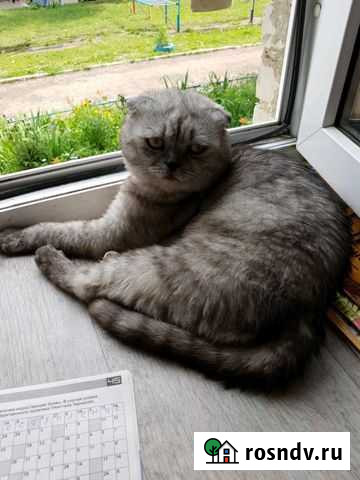 Вязка Лениногорск - изображение 1