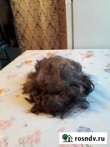 Пух козы Тамбовка - изображение 1