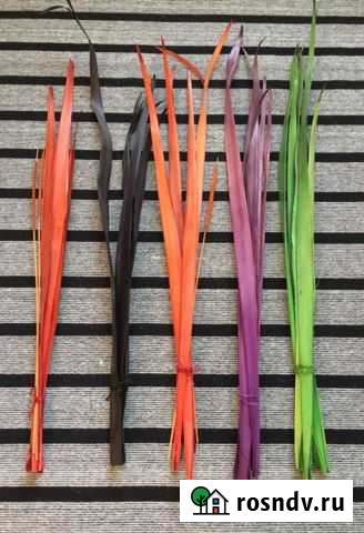 Сухой букет Икея Сочи - изображение 1