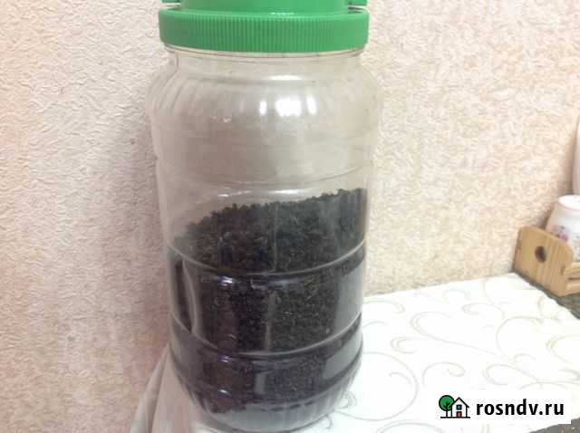 Кипрей Барнаул - изображение 1