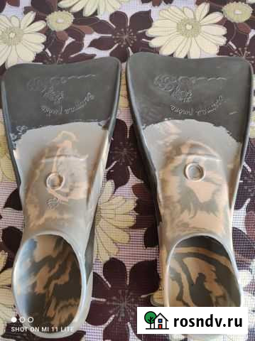 Ласты Йошкар-Ола - изображение 1