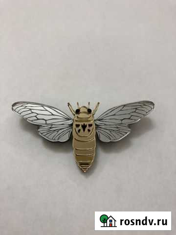 Броши Новосибирск - изображение 1