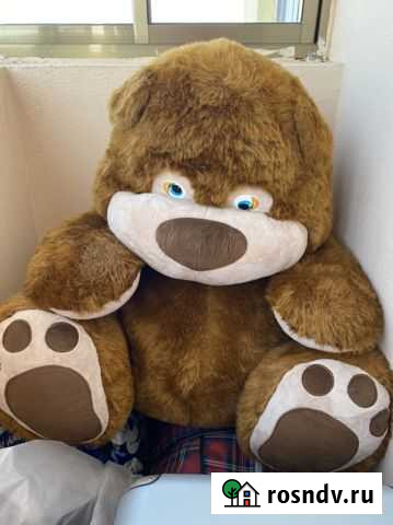 Медведь Благовещенск - изображение 1