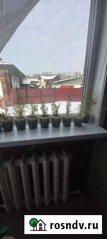 Гранат Иркутск - изображение 1