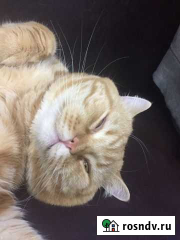 Вязка Армавир - изображение 1