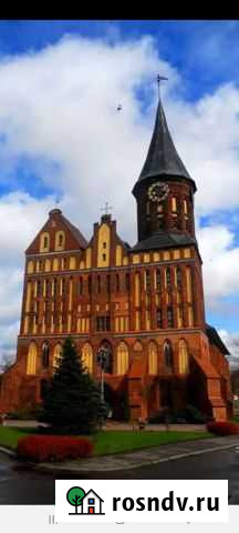 Индивидуальный тур по Калининграду Калининград - изображение 1