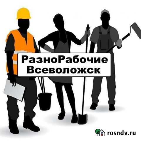 Разнорабочие (уборка снега ) Всеволожск - изображение 1