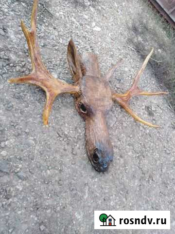 Вешалка Бугуруслан - изображение 1