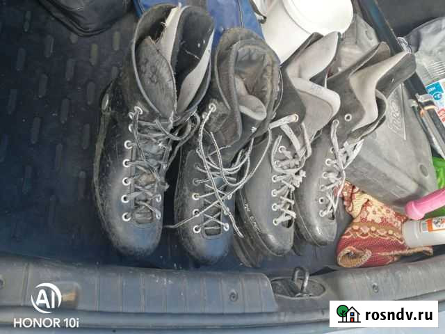 Коньки Елабуга - изображение 1