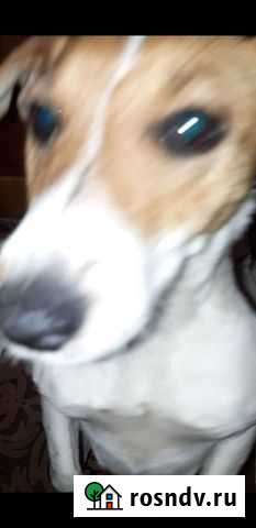 Девочка Баксан - изображение 1