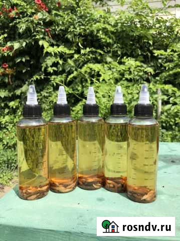 Восковая моль огневка Ростов-на-Дону - изображение 1