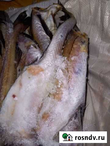 Минтай свежемороженный Нефтекамск - изображение 1