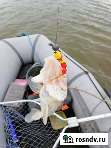 Продаю лодку Астра-340 в полной комплектации в отл Началово - изображение 1