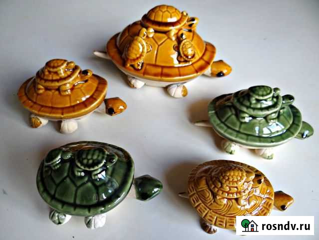 Черепашка фарфоровая, шевелит ножками и головой Евпатория - изображение 1