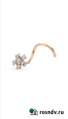 Пирсинг Березовский - изображение 1