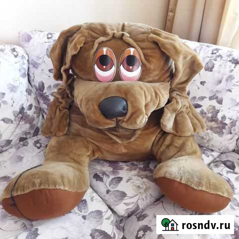 Собака Великий Новгород - изображение 1