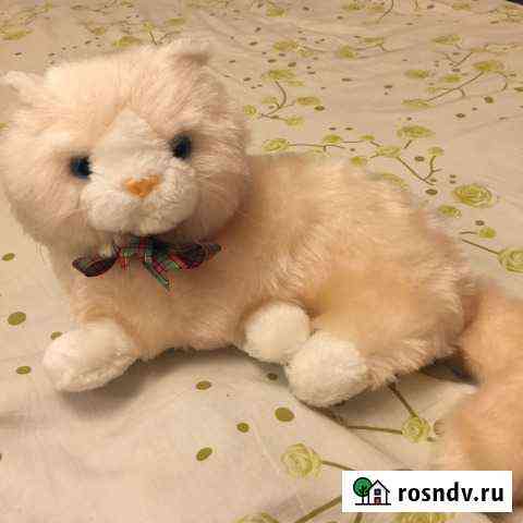 Игрушка котик Тамбов