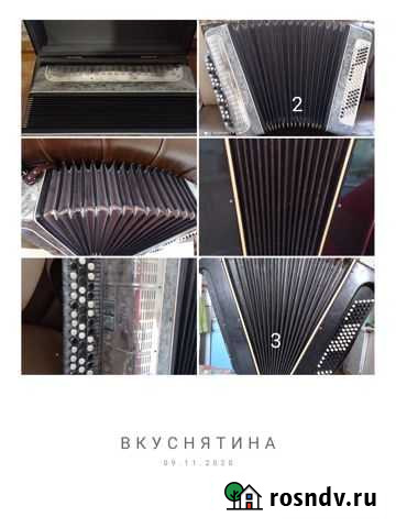 Баяны Починки - изображение 1