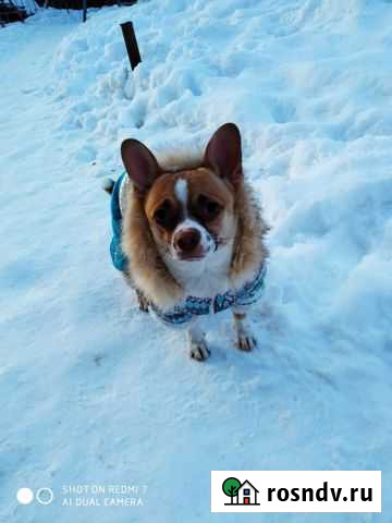 Вязка Сарапул - изображение 1