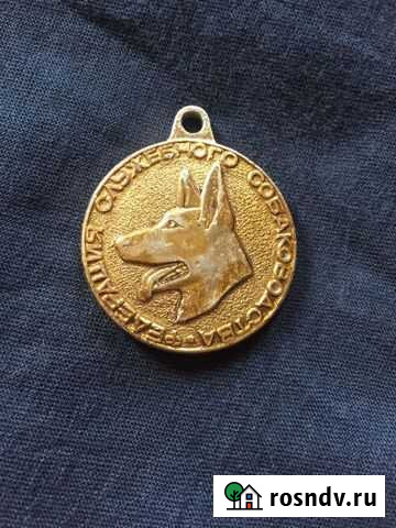 Жетон для собаки Сызрань - изображение 1