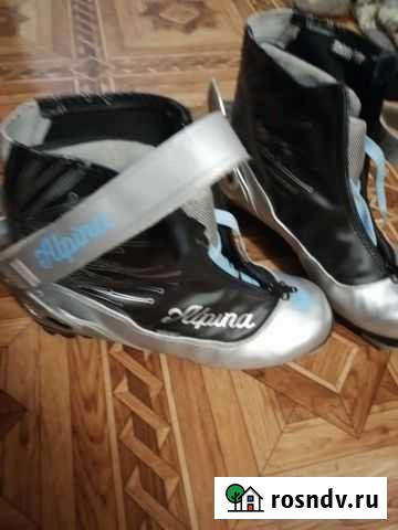 Лыжные ботинки alpina Ржев - изображение 1