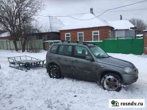 Сани Шахты