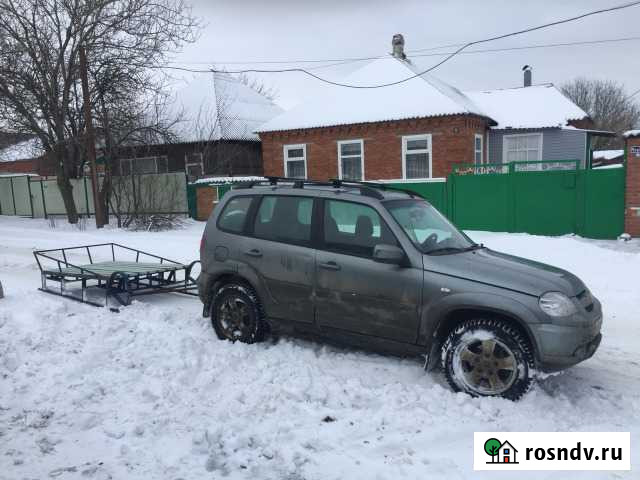 Сани Шахты - изображение 1