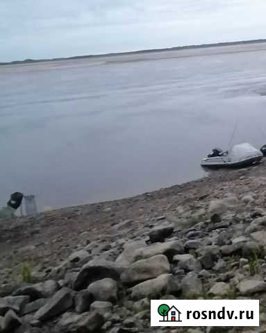 Лодка с мотором Лесной - изображение 1