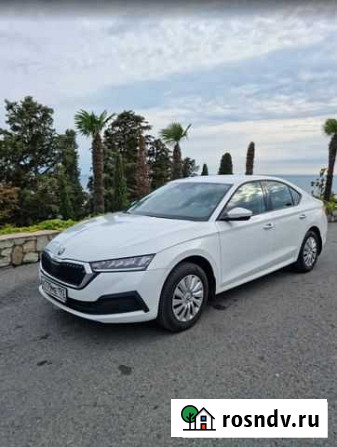 Аренда авто с водителем Skoda Oktavia Алушта - изображение 1