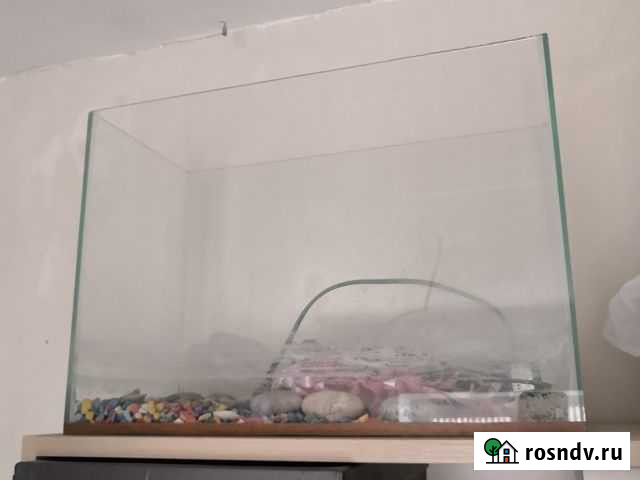 Аквариум Черницыно - изображение 1