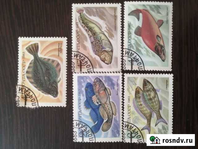 Марки + альбом Северск - изображение 1